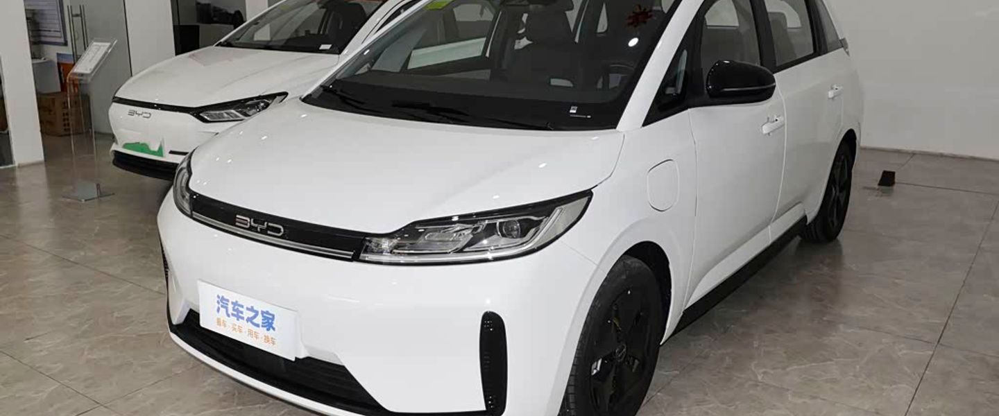 BYD D1